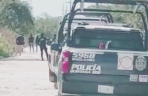 Autoridades realizan operativo de búsqueda de restos humanos en Cancún